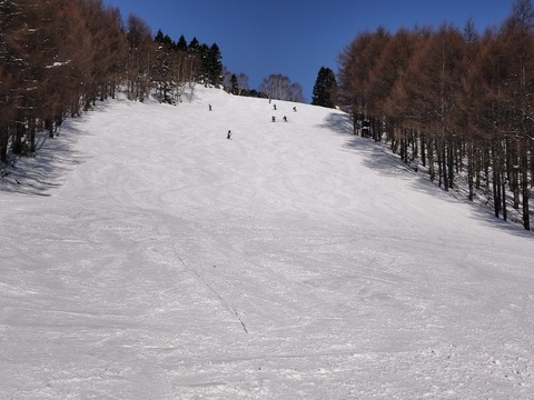 17686222532050