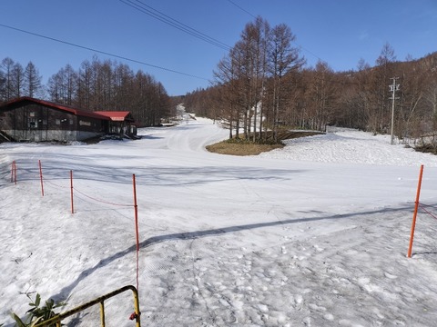 17135671545055