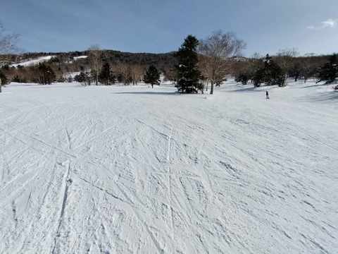17396767609910