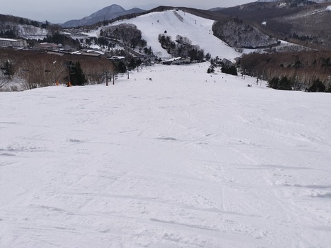 17741622372221