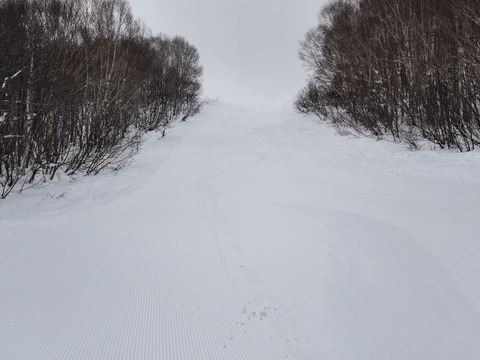 17675705392214