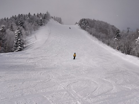 17371610843160