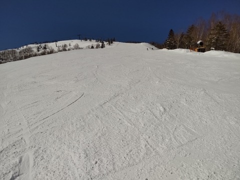 16463608886751