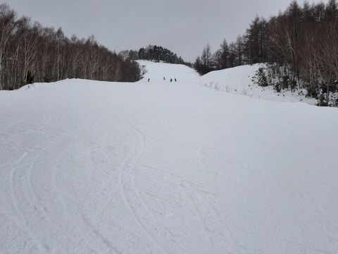 17675811967730