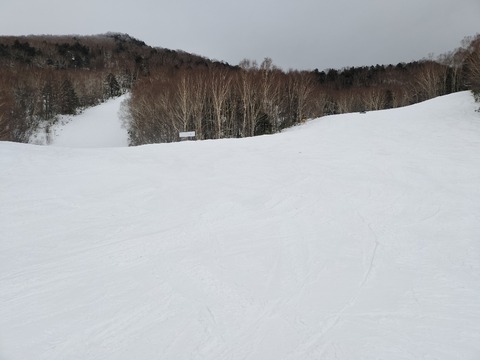 17681106597592