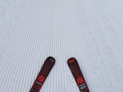 17682610387741