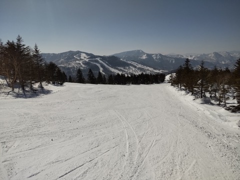 16470468036830