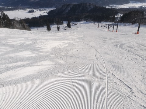 17675074086620