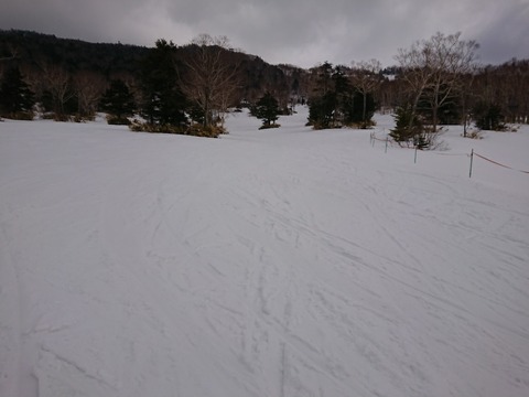 15866649307536