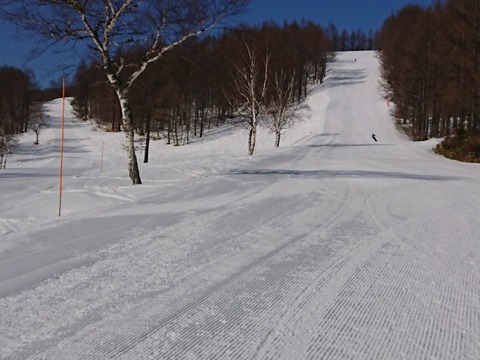 15859579658715