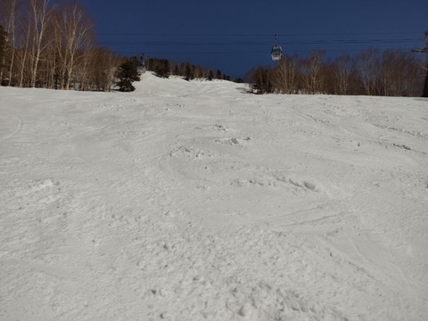 16470506592060