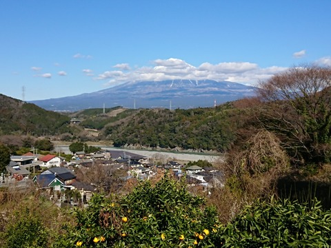 15805296540531