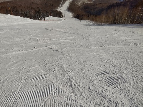16761616775500