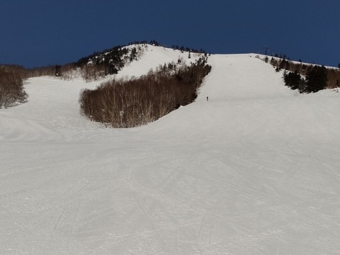 16470479016390