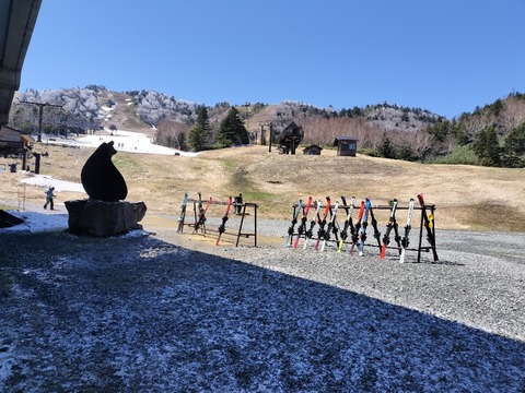 17779456257431