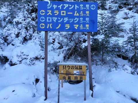 17657567837292