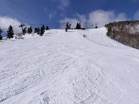 17396716762020