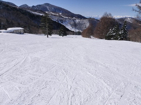17395903267003
