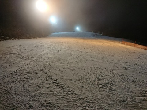 15808147530572