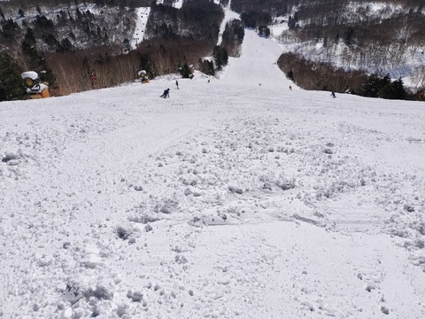 17711162753720