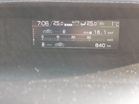 17747374602743