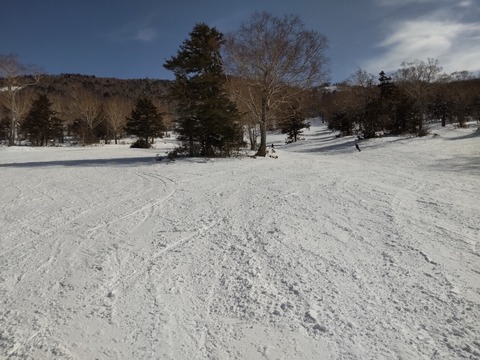 16761742565223