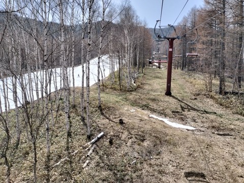 17450323922210