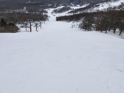 17712221677131