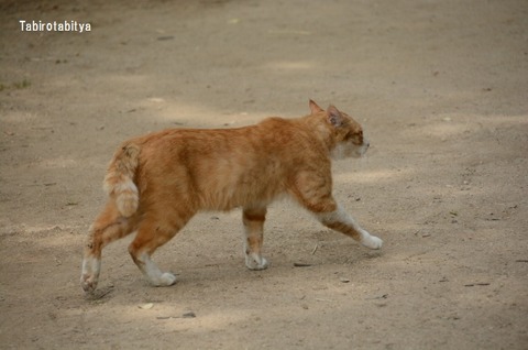 DSC_8985