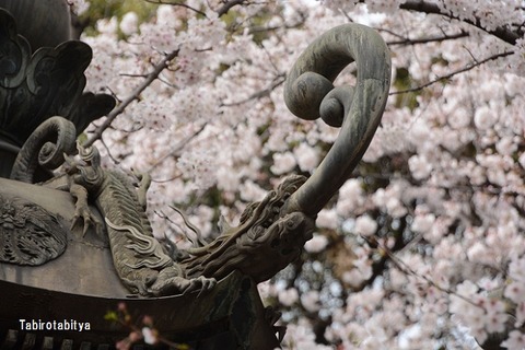 1904065