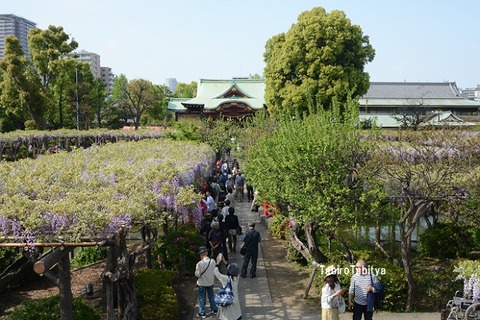 1904272
