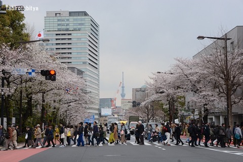 1904069
