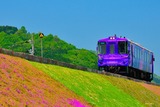�Ǻ��ȡ֤��ޤĤܤ���