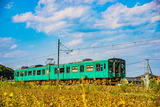 ����Ȫ��103��