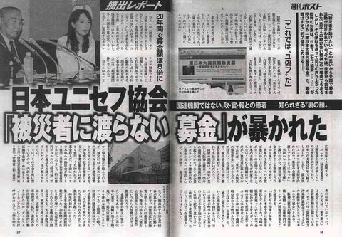 アグネス・チャン、ネット暴力に反撃