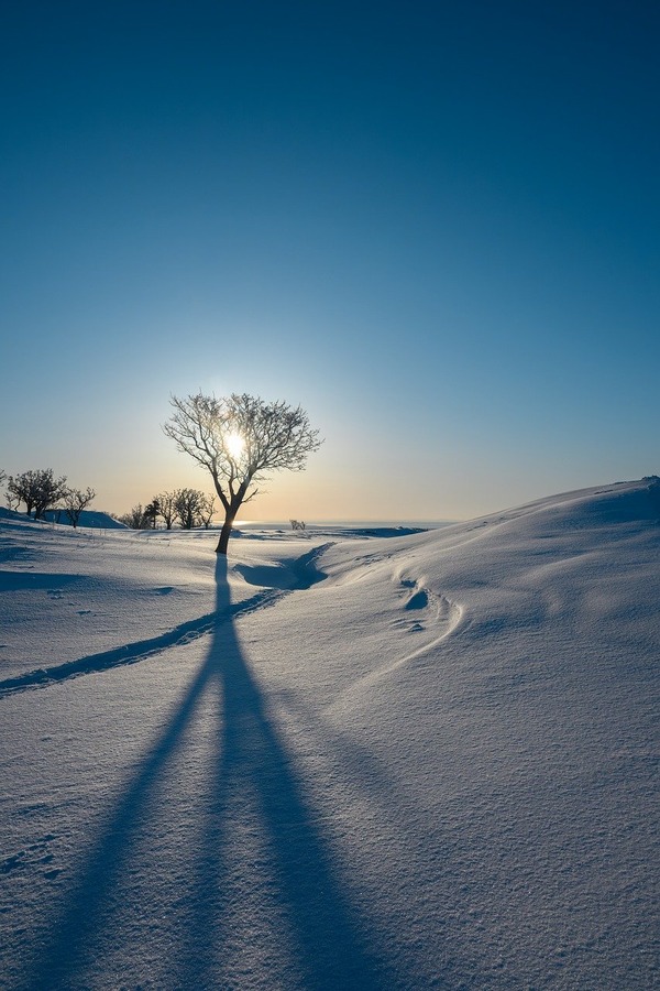 pen_ash-snow-10134653_1280