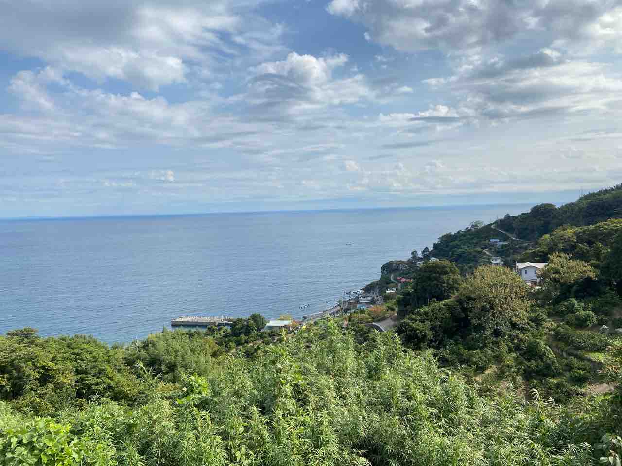 湯河原から小田原まで長距離ウォーキング 子育て 公立中高一貫 高校受験 1万人の生徒を指導した塾長が教育をマジで語るブログ 湯河原から小田原まで長距離ウォーキング 子育て 公立中高一貫 高校受験 1万人の生徒を指導した塾長が教育をマジで語るブログ
