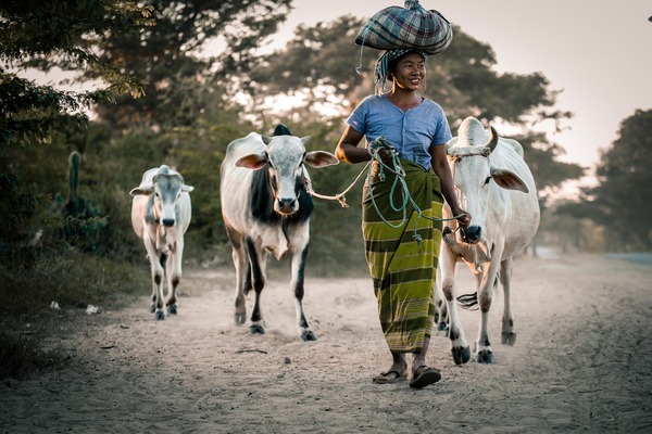 myanmar-4708901_1920