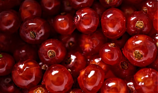 currants-5270094_1920