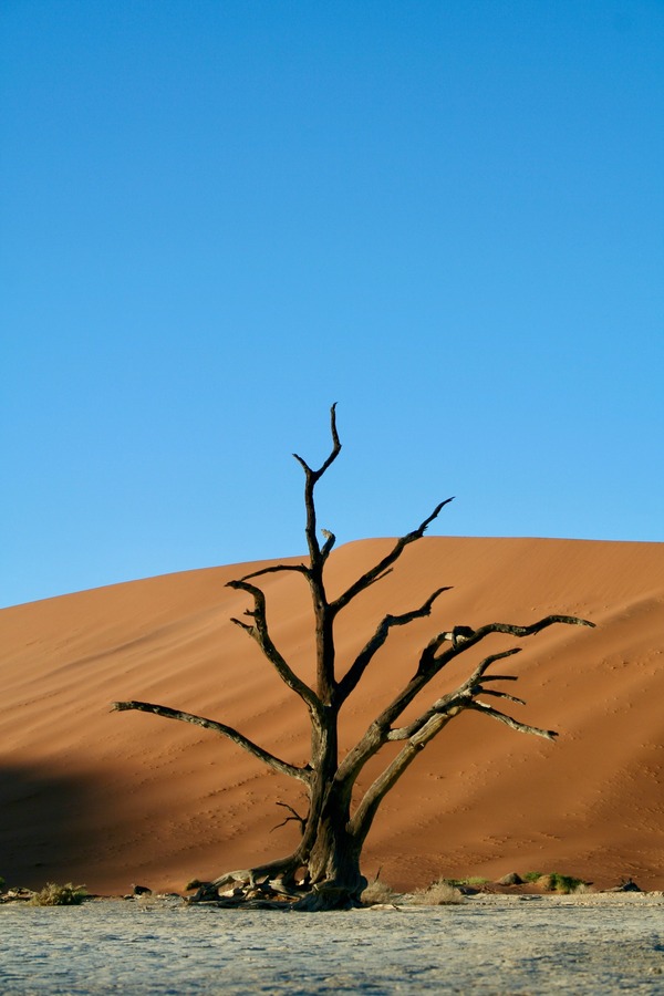 rudi_nel-namibia-10217381