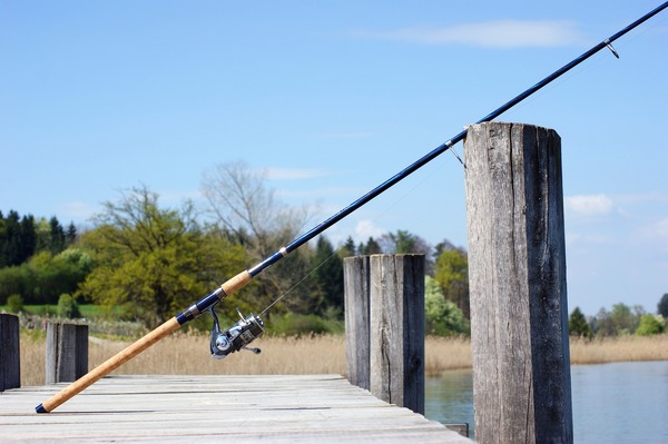 fishing-rod-326843_1920