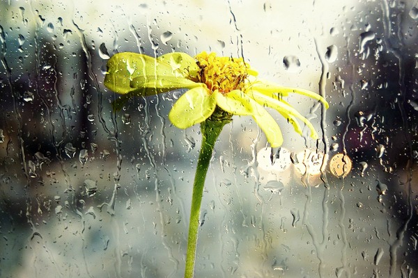rain-68165_1920