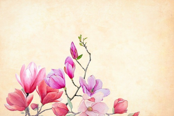 flower-3350053_1280