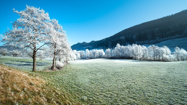 hoarfrost-4739176_1920