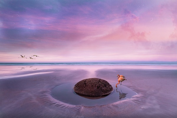 landscape-5146555_1920