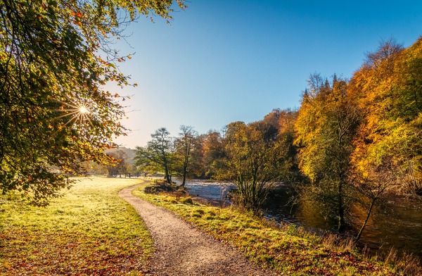 river-wharfe-2911469_1920 (1)