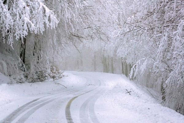 snow-4730553_1920