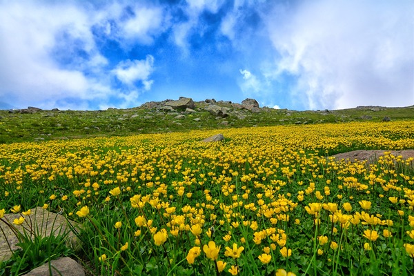 nature-3314297_1920
