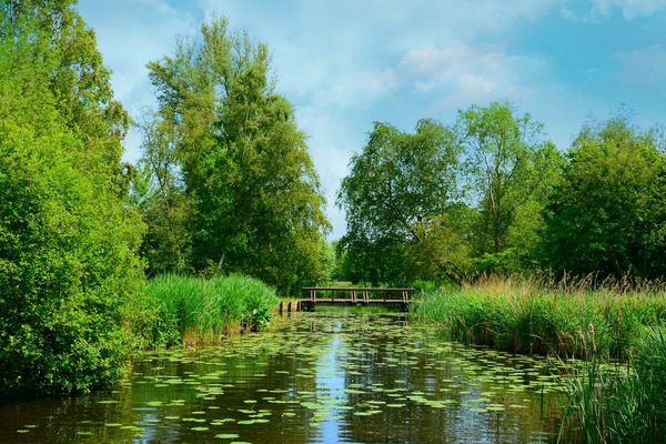 waterway-5229365_1920
