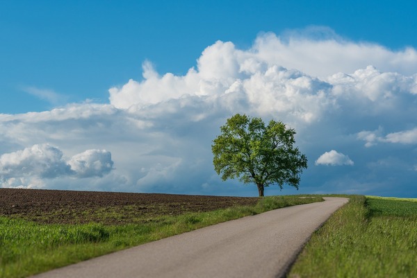 landscape-6394751_1920